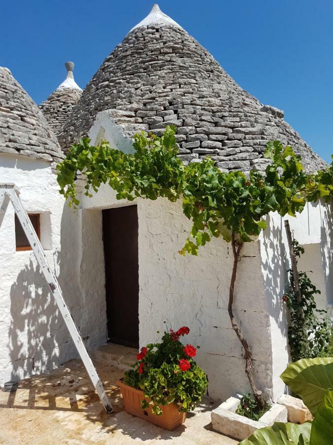 I Trulli Di Nonno Giovanni Alberobello Zewnętrze zdjęcie